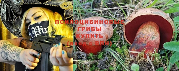 спиды Алексеевка