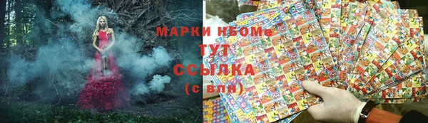 амф Алзамай