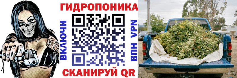 Шишки марихуана VHQ Бакал